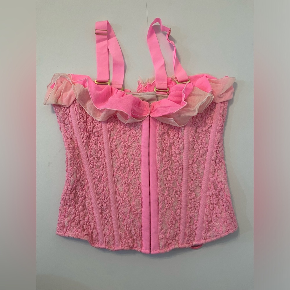 We are HAH x Revolve Seams Like A Princess Corset in Rose Quartz - Picture 14 of 14